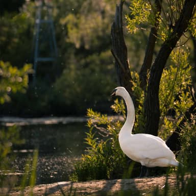 Art From The Lens: Unveiling The Essence Of Fine-Art Photography Prints